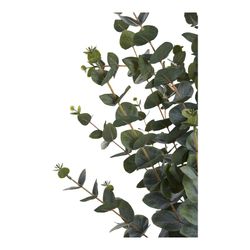 Polyethylene eucalyptus tree in green, 36 x 46 x 120 cm | Eucalyptus