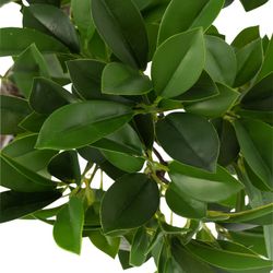 Plástico Ficus Chinês Figueira L Verde/Preto38x30x120cm