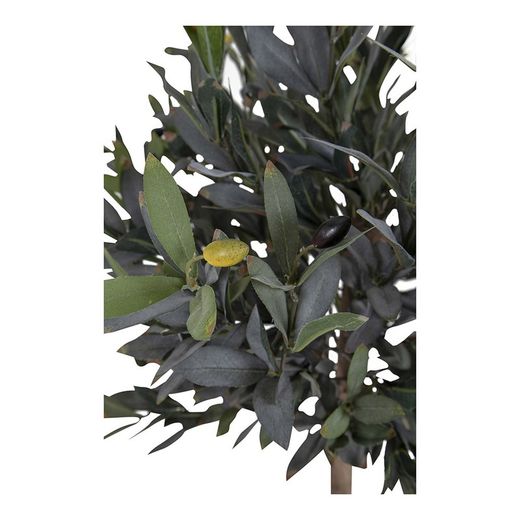 Ελιά από πολυαιθυλένιο σε πράσινο χρώμα, 43 x 47 x 120 cm | Ελιά