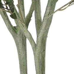 Green Olive Tree, Ø80x180cm