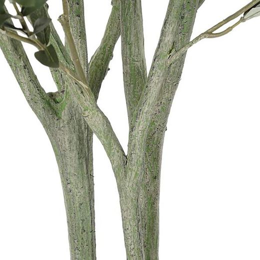 Groene Olijfboom, Ø80x180cm
