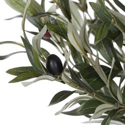Green Olive Tree, Ø80x180cm