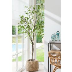 Plastic Tree Green/Brown, Ø74x192cm