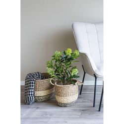 Δέντρο skimmia από πολυαιθυλένιο σε πράσινο χρώμα, 40 x 40 x 75 cm | Σκίμμια
