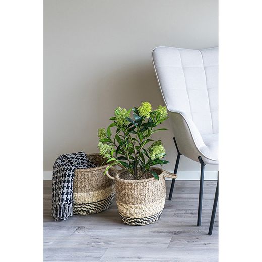 Δέντρο skimmia από πολυαιθυλένιο σε πράσινο χρώμα, 40 x 40 x 75 cm | Σκίμμια