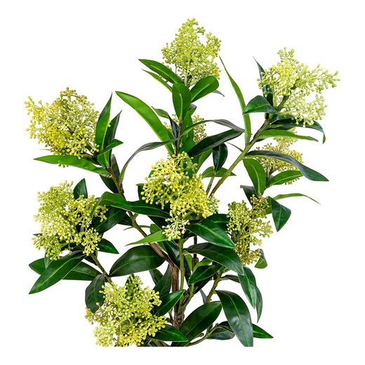 Δέντρο skimmia από πολυαιθυλένιο σε πράσινο χρώμα, 40 x 40 x 75 cm | Σκίμμια