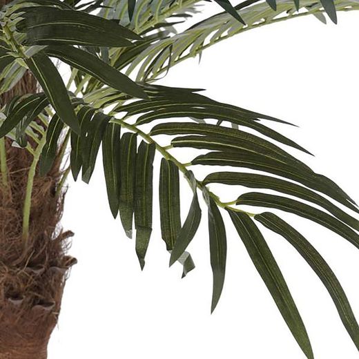Dattelpalme, Ø100x230cm