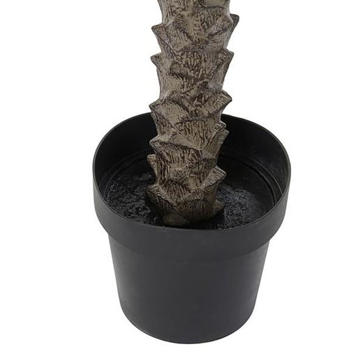 Dattelpalme, Ø100x230cm