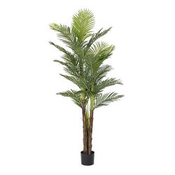 Green Palm Tree, Ø80x210cm