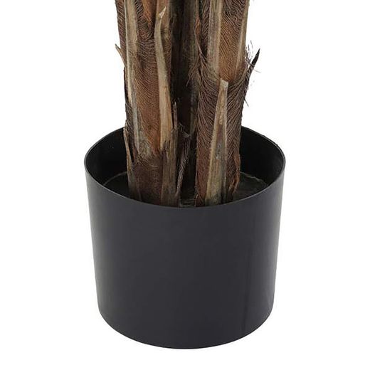 Palmier vert, Ø80x210cm