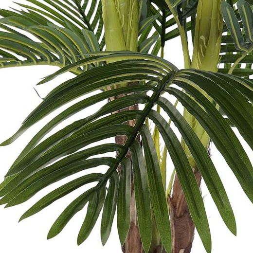 Palmier vert, Ø80x210cm