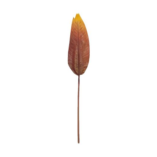 Bird of Paradise Big Red, 17x115 cm