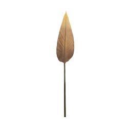 Bird of Paradise Vintage Brown, 12x80 cm