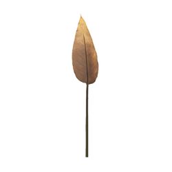 Bird of Paradise Vintage Brown, 12x80 cm