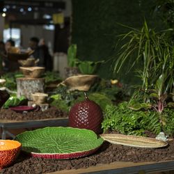 Taca fajansowa w kolorze zielonym i czerwonym, Ø 50 x 6 cm | Amazonka