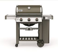 Barbacoa de gas Weber Génesis II