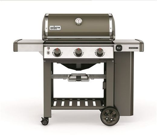 Barbacoa de gas Weber Génesis II