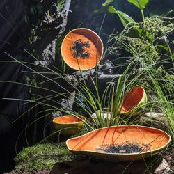 Papaya bowl made of yellow and orange earthenware, 14.2 x 14.2 x 7.5 cm | Tropical Fruits