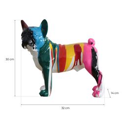 Εκπτωτική συσκευασία με 2 αξιολάτρευτα Boston Terrier σε πολύχρωμη πολυρεζίνη