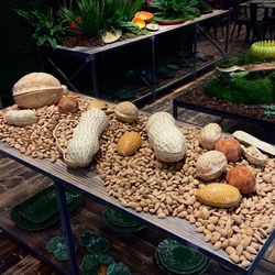 Sandstone box in toasted sand, 16.6 x 11.1 x 8.1 cm | Nuts