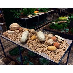 Kleine Steingutdose in Sand, 14,5 x 11,6 x 10,9 cm | Nüsse