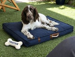 Cama para mascota en azul o gris, 88 x 68 x 10 cm | Pets