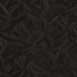 Tapeta CARLOMAGNO 2-czarne pióra, 1005 x 70 cm