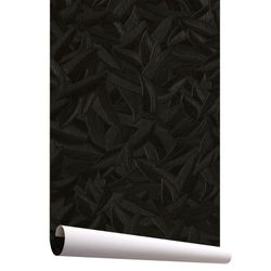 Tapeta CARLOMAGNO 2-czarne pióra, 1005 x 70 cm