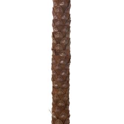 Cocotier en plastique vert/marron, Ø190x350cm