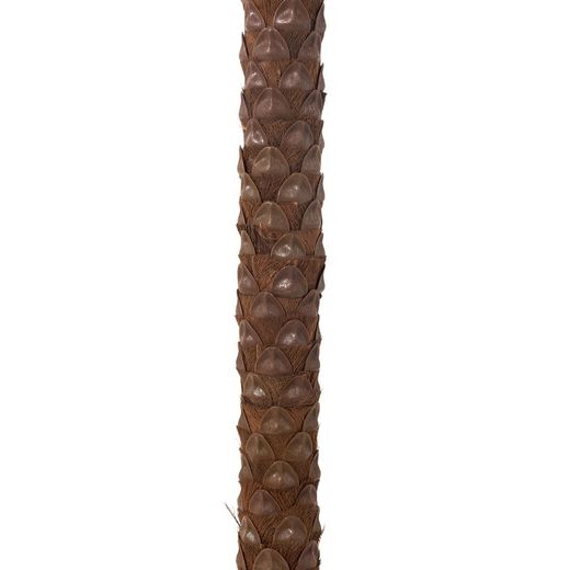 Cocotier en plastique vert/marron, Ø190x350cm