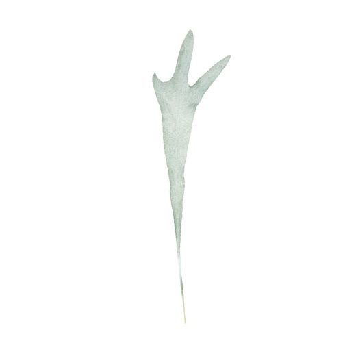 Hoja Artificial de Cuerno de Alce Verde, 55 cm