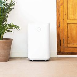 Luchtontvochtiger BigDry 7000 Master Cecotec