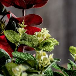 Fleur jaune, Ø11x68cm