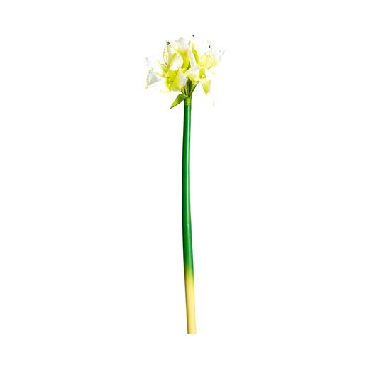 White Amaryllis flower, Ø15x73cm