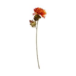Flor de crisântemo laranja, Ø15x79cm