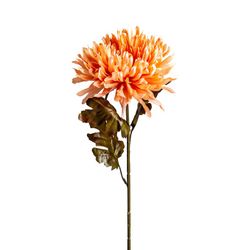 Flor de crisântemo de salmão, Ø15x79cm