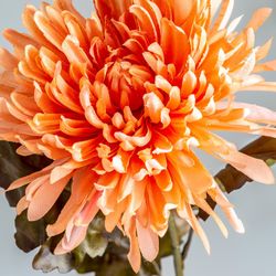 Flor de crisântemo de salmão, Ø15x79cm