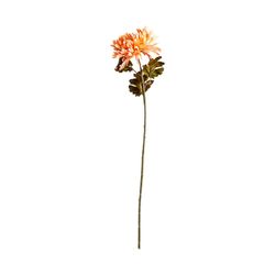 Flor de crisântemo de salmão, Ø15x79cm
