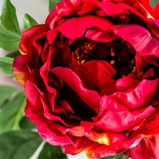 Red Peony Flower, Ø19x97cm