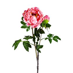 Pink Peony Flower, Ø19x97cm