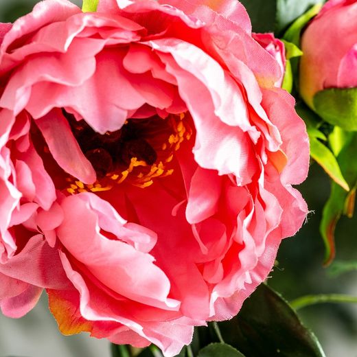 Fleur de pivoine rose, Ø19x97cm