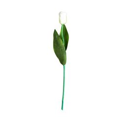 Witte Tulp Bloem, Ø15x64cm