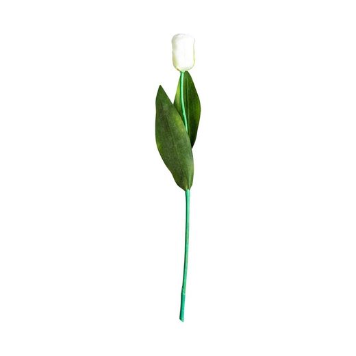 Witte Tulp Bloem, Ø15x64cm