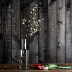 Witte Tulp Bloem, Ø15x64cm