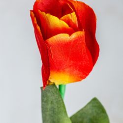 Orange Tulip Flower, Ø15x64cm