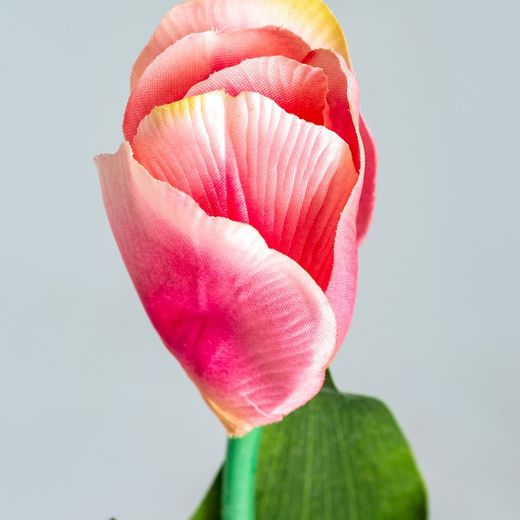Fleur de tulipe rose, Ø15x64cm