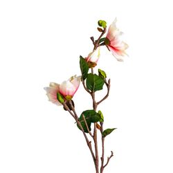 Wit/Roze Yulan Bloem, Ø16x101cm