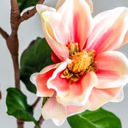 Wit/Roze Yulan Bloem, Ø16x101cm