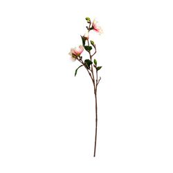 Wit/Roze Yulan Bloem, Ø16x101cm