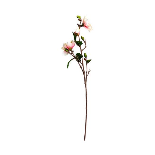 Wit/Roze Yulan Bloem, Ø16x101cm